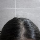 (주)세보글로벌 | 임산부도 사용 가능한 볼빅 초기탈모 세보 리페어링 샴푸