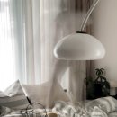 셰프의 펫방앗간 | 백년만에 일상! 사진 폭탄