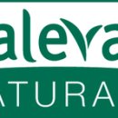 오브맘코리아컴퍼니(주) 이미지