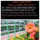 복나라 이미지
