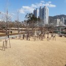 작은동물원 이미지