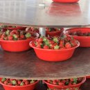 희수농장 이미지