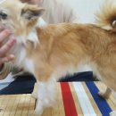 방꼬지길 이미지