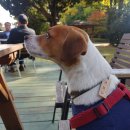 농성광장 이미지