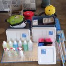 임광(아) 이미지