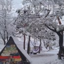 홍천펜션&글램핑캠프별이빛나는밤 이미지