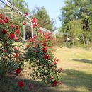 문평119안전센터 이미지