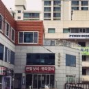 푸노키즈복싱 이미지