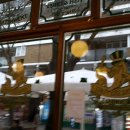 솔 피시 이미지