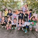 도진농장 이미지