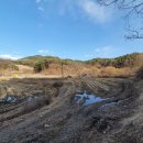 사리골농장 이미지