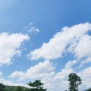 젤존 | 실전 라운딩을 위한 골프 레슨/아산탕정젤존GDR 지디알 골프연습장