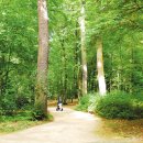 숲속유치원 이미지