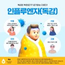 강서서울연합의원 | 청주 독감예방접종 저렴한 곳 비용정보, 나비솔한방병원, 강서서울연합의원, 인플루엔자 예방접종