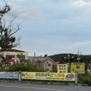 황금코다리 군산나운은파점 | 군산 해물 맛집 황금코다리 군산나운은파점 단체 회식 추천