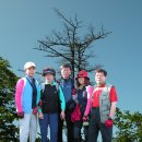 인헌동-45 이미지