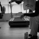 필리스 핏 이미지