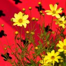 우리파크 이미지