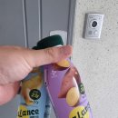 장미아파트 402동 앞 | 전주줄눈시공 서신동 광진장미2차아파트 화장실 폴리우레아 아몬드칩 후기 (ft. 세입자를 위한 집주인의...