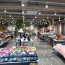 판다라이프 이미지