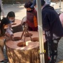 나비공원　 이미지