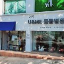 24시 유앤미동물병원 이미지