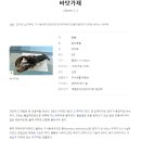 씨케이뉴욕바닷가재 - 연수구 청능대로53번길 12 | [인천연수구 맛집] 연수역 맛집, 바닷가재 전문점 - 뉴욕바다가재(메뉴, 후기)