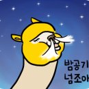 청대문 곤드레밥 이미지