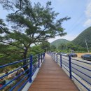 남천1리 솔밭공원 이미지