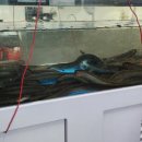 송도비치텔 이미지