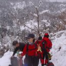 무채의아름다움 이미지