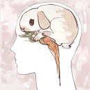 헤카림PC방 이미지