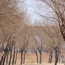 강서체육공원 이미지