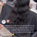 둥이네살롱 네이버블로그