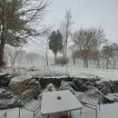 미단시티8호 근린공원 이미지