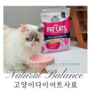 뚱냥이 다이어트 오리지날 울트라 팻캣 닭&amp;연어 고양이사료추천