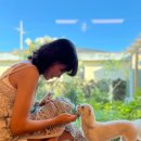 스테이모슬 이미지