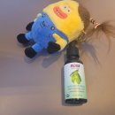 태평양광택 | 나우푸드 NOW 타마누오일 효능 성분 사용법 주의사항 내돈내산 후기