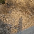 서구-02-69 이미지
