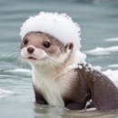 다예의원 | 시험관 1차 동탄아이희망의원 증상 및 피검수치는?