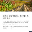 송호돼지국밥 | 대한민국 와인축제 기본정보, 볼거리, 체험프로그램, 주변 맛집까지