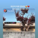 머리가살롱살롱 이미지