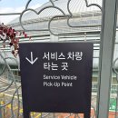 대1리 다리옆 | [내돈내산] 서울 중구 서울 신라 호텔 더 파크뷰 주말 런치 뷔페 솔직 후기