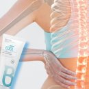 지니스프링스 이미지