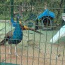 태백 눈꽃 야영장 이미지