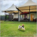 카페험프리즈 이미지