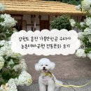 평안어린이공원 | 강원도 홍천 가볼만한곳 수타사 농촌테마공원 전통문화 후기