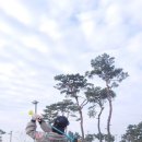 중앙파크 | 세종시 중앙 파크 골프장 방문 후기ㆍ엄마와 함께ㆍ파크골프 레슨