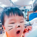 또고기