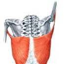 에이치짐 PT 이미지